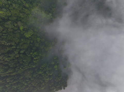 Aerial view of the lush green forest canopy of Gunung Luhur partially obscured by thick morning mist in Cibeber, Banten, Indonesia.