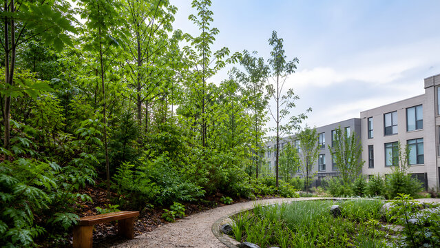 Dense Urban Microforest beside Modern Residential Buildings