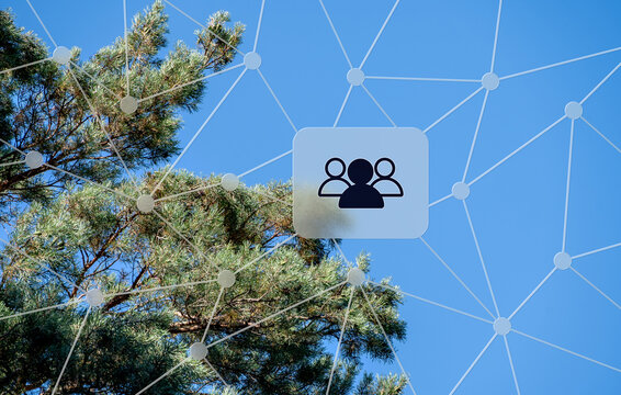 Umwelt und globale Vernetzung mit blauer Himmel, Nadelbaumzweigen und digitalen Netzwerksymbolen. Perfekt f&uuml;r gr&uuml;ne Technologie, nachhaltige Projekte und &ouml;kologische Zukunft.