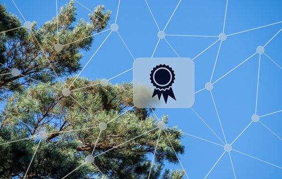 Konzept zur Umweltschutz und Zertifizierung mit digitalem Netzwerk, blauer Himmel und Kiefernbaum im Hintergrund, moderne Symbolik f&uuml;r gr&uuml;ne Wirtschaft.