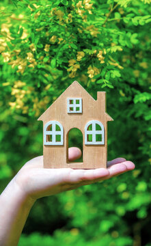 A girl holds the symbol of a house against a blooming acacia tree