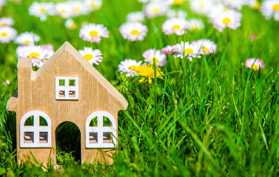 The symbol of the house stands among white daisies
