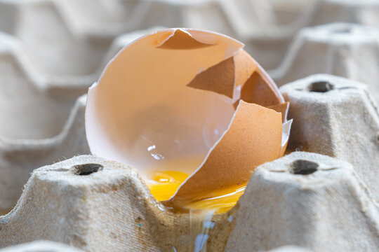 Broken Raw Egg Spilling onto a Cardboard Egg Tray