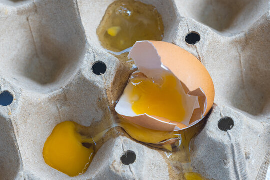 Broken Raw Egg Spilling onto a Cardboard Egg Tray