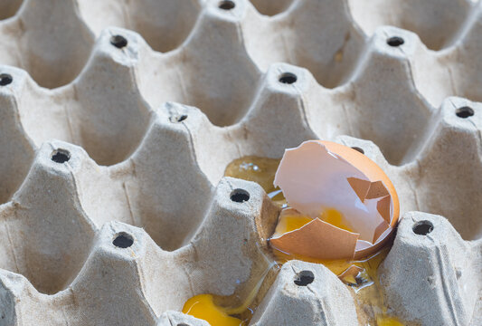 Broken Raw Egg Spilling onto a Cardboard Egg Tray
