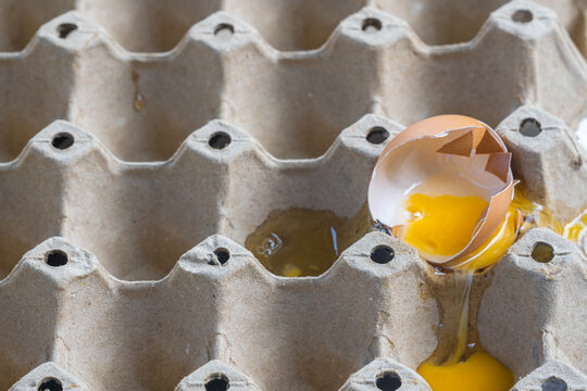 Broken Raw Egg Spilling onto a Cardboard Egg Tray
