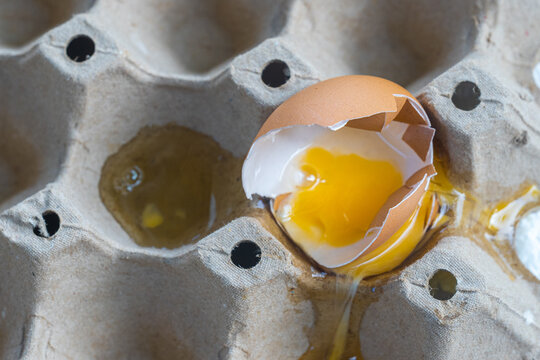 Broken Raw Egg Spilling onto a Cardboard Egg Tray