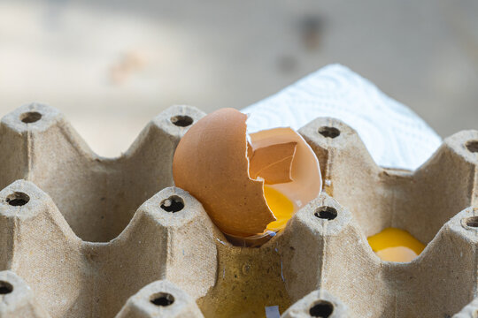 Broken Raw Egg Spilling onto a Cardboard Egg Tray