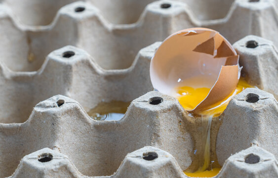 Broken Raw Egg Spilling onto a Cardboard Egg Tray