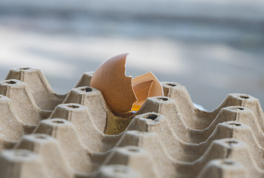 Broken Raw Egg Spilling onto a Cardboard Egg Tray