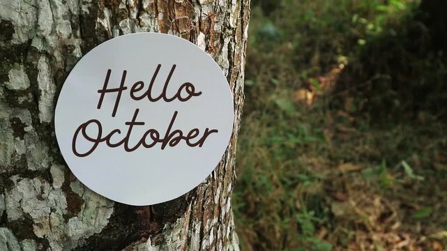A circular sign with the text Hello October attached to a tree trunk in a forest.