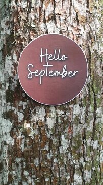 A circular sign with the text Hello September attached to a textured tree trunk.