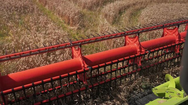 Wheat harvesting process captured in three frames showing the cutting header of a combine harvester moving through golden fields of ripe wheat ready for threshing