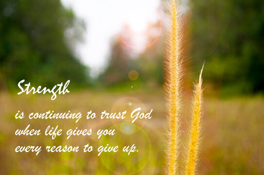 Strength themed image showing a natural background with an uplifting message about courage, perseverance, and inner power.