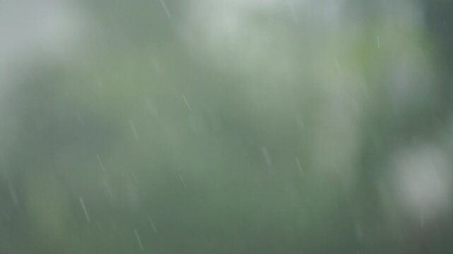 Raindrops on Greenery: A soft-focus view of rain falling gently against a backdrop of blurred green leaves, evoking a sense of calm and renewal.