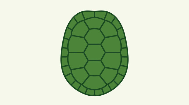 Detailed top view of turtle shell isolated on a soft beige background vector graphic