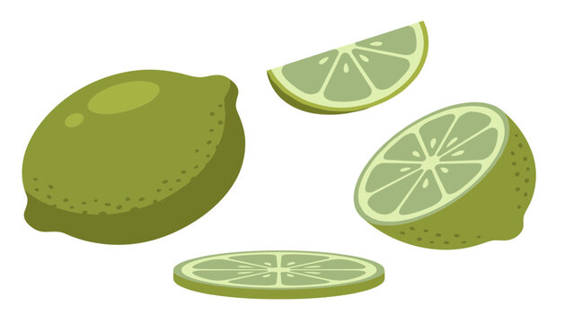 Fresh green lime fruit vector set with whole lime half cut and slices isolated on white background illustration