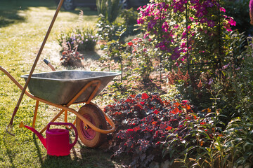 Preparing the garden for autumn and winter. A garden wheelbarrow and a rake in the backyard of a house near a flowerbed. The concept of gardening and rural life. Garden cleaning. The summer season. © Юлия Клюева