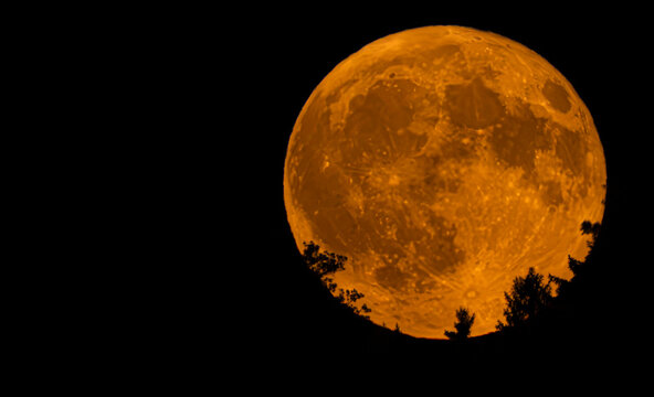 La pleine lune du cerf, le 29 juillet 2026, quand la lune se l&egrave;ve au dessus de la for&ecirc;t du Jolimont en Suisse