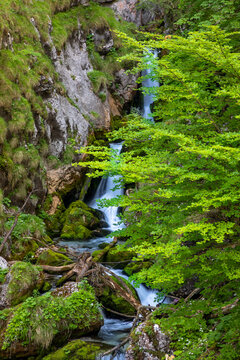Wasserfall im Hartelsgraben, Nationalpark Ges&auml;use, Steiermark