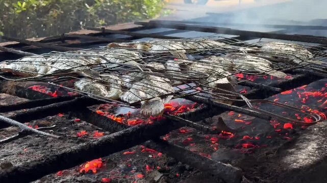 Footage of fresh tilapia fish being grilled over hot burning charcoal outdoors.