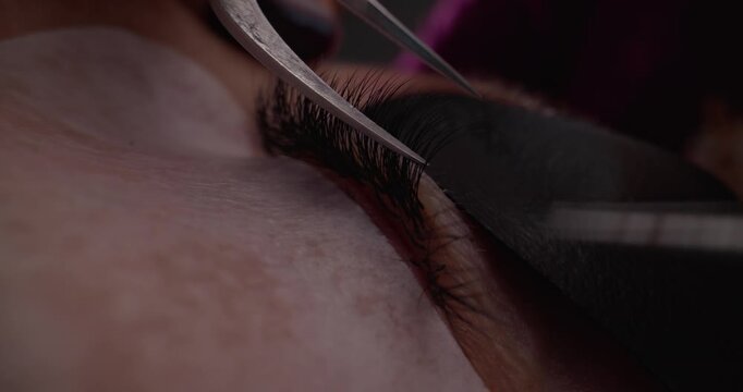 Closeup probe macro of eyelash extension application on eyelid at beauty salon.