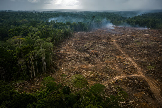 Aerial View of Tropical Forest Deforestation and Land Clearing