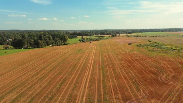 Wheat harvesting process showing agricultural machinery working across expansive fields with visible rows of cut wheat and lush green trees in the background