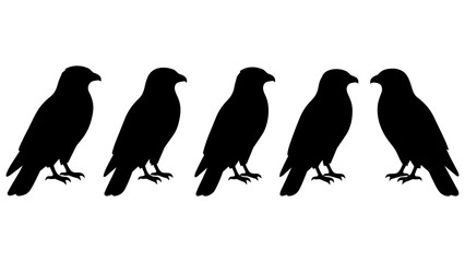 Fototapeta premium Set of Five Black Silhouette Birds Standing in a Row Minimalist Vector Illustration for Design Projects and Branding