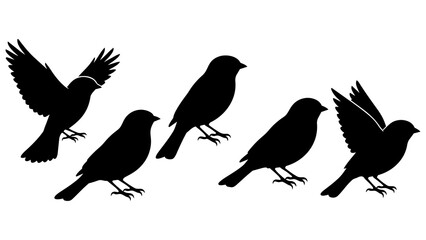 Fototapeta premium Set of Five Black Silhouette Birds Flying and Standing Vector Illustrations for Nature, Ecology, and Minimalist Design Projects