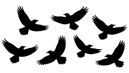 Fototapeta premium Set of Seven Black Silhouette Birds Flying in Different Directions - Minimalist Vector Illustrations for Design Projects