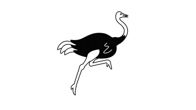 Minimalist ostrich silhouette animation walking across white background simple flat vector graphic design style with video repeating cycle flat black illustration flightless character wildlife