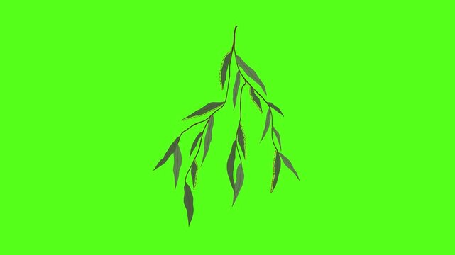 Minimalist hand drawn willow branches swaying gently against a vibrant solid neon green background with illustrations swaying rhythmically displays three identical video displays composition plant