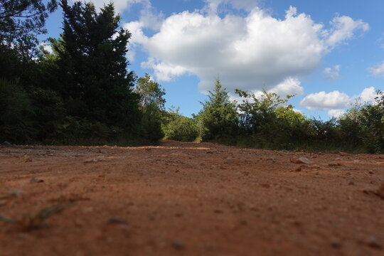 Low Angle View of Red Dirt Road Through Green Forest Under Blue Sky