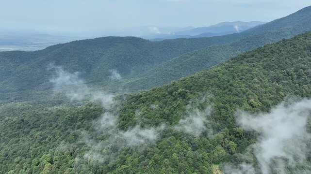 Aerial View of Green Mountain Forest with Rolling Mist and Cloudy Sky Azerbaijan drone