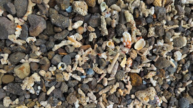 Top down view pieces of broken dead coral reef washed ashore onto beach from ocean in Fiji