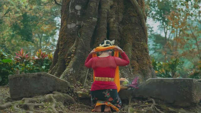 Rear View of Woman Praying Before Giant Sacred Banyan Tree