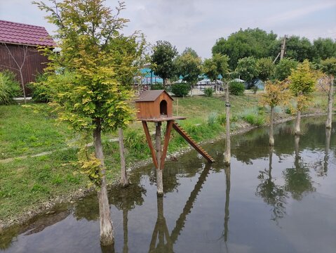 Wooden birdhouse on stilts standing in water with reflection and green trees