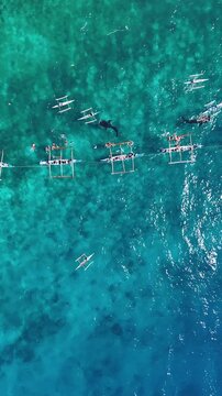 Whale shark watching boats spread across the sea in Oslob Cebu