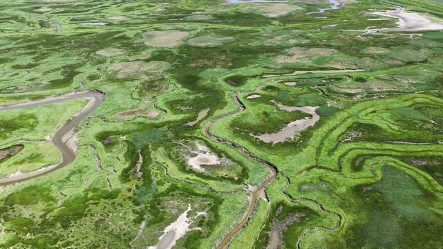 Aerial view of a meandering river in a green marshland