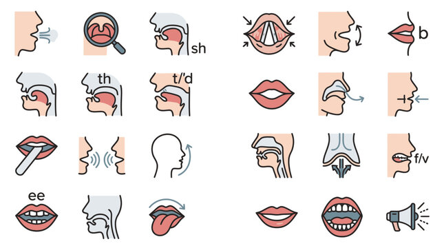 Speech Therapy and Phonetics Icon Set for Mouth Positions, Tongue Articulation and Vocal Anatomy