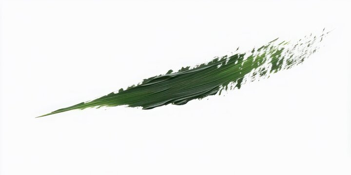 single textured dark green paint stroke on white background evoking calm organic movement