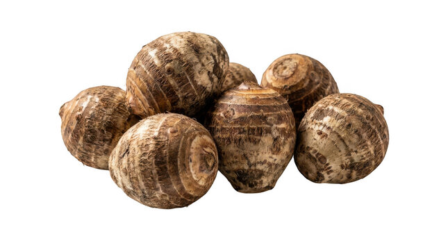 Fresh taro roots isolated on transparent background