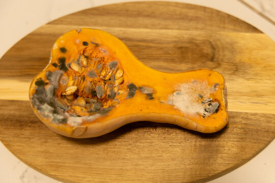 Moldy butternut squash on a wooden cutting board in a kitchen setting