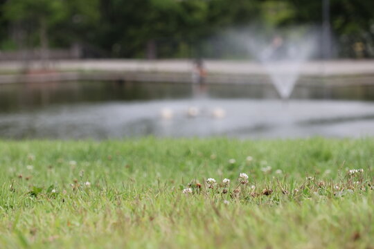 多摩中央公園の景観