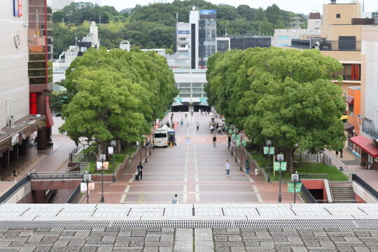 多摩中央公園の景観
