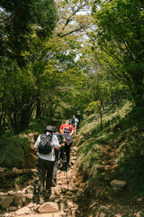 Fototapeta premium hiking mountain ooyama kanagawa Japan