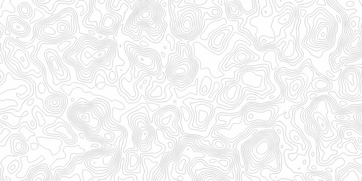 Contour abstract map relief land outline. Topographic map patterns. White wave paper curved reliefs abstract background. Background of the topography map. Abstract pattern with lines.