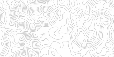 Contour abstract map relief land outline. Topographic map patterns. White wave paper curved reliefs abstract background. Background of the topography map. Abstract pattern with lines. © armans