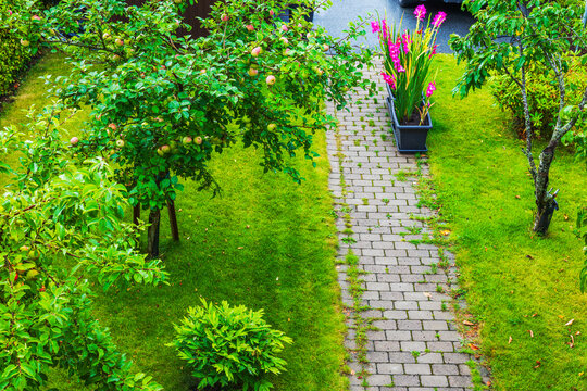 Top view of garden with apple trees, green lawn, paved walkway and blooming gladiolus. Sweden.
